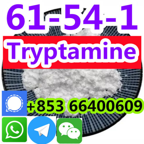 china-factory-supply-99-raw-powder-tryptamine-cas-61-54-1-in-stock_b20240122114117352_副本