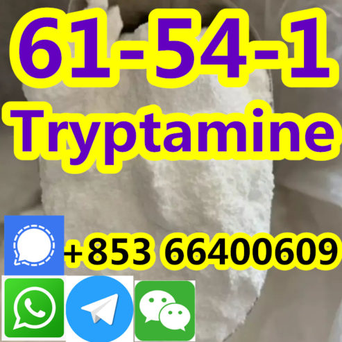 tryptamine-99-white-powder-1633-05-2-deshang_b20221028154247388_副本