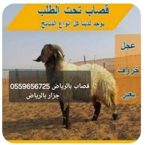 قصاب بالرياض 0559656725جزار