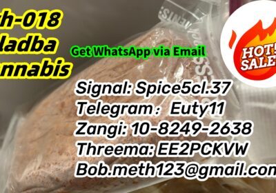 1745582453009_副本