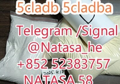 Hb60a8ad07a1f4219bfd5be11ae495f89C_副本