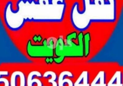 Screenshot_٢٠٢٥٠٣٢٠-١٢٢٩١٣_OpenSooq-