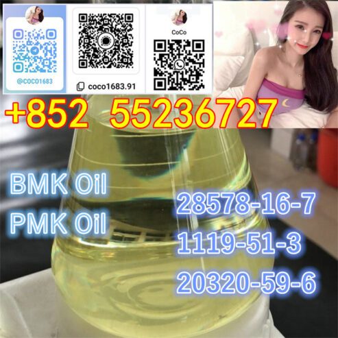 CAS 28578-16-7 99% PMK ethyl g