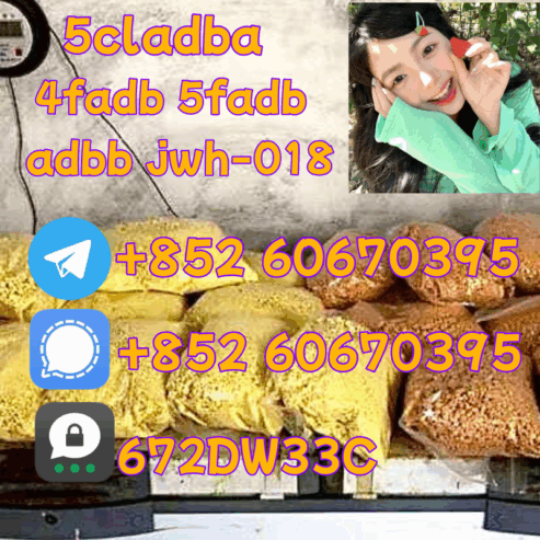 Supply low price 5cladba