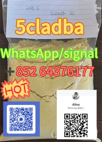 5cladba 5cladb vendor on sale