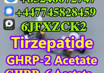 _20250407100412