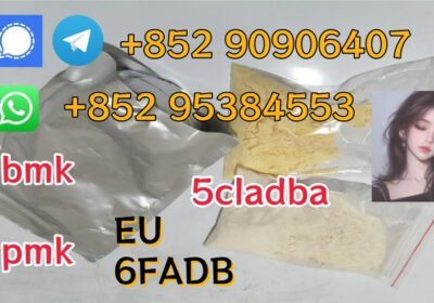-副本-1