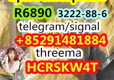 06b855ec-6d0c-4098-91bf-27c88d26dcd9