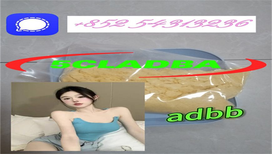 Quick delivery 5CLADB,5cladba