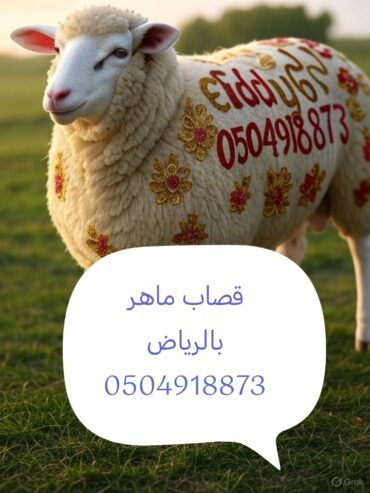 قصاب ماهر بالرياض 0504918873
