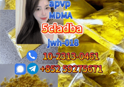 1cd14c3e08284da2a59bb779bbbc9b0a