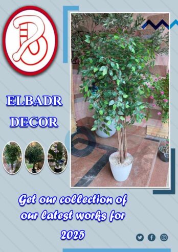 بوتات زرع ديكور البدر