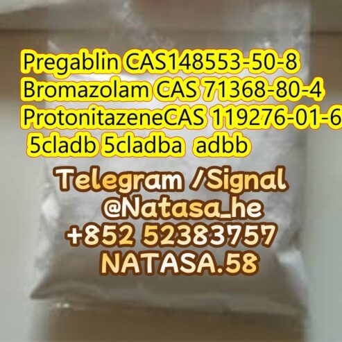 Protonitazene CAS 119276-01-6