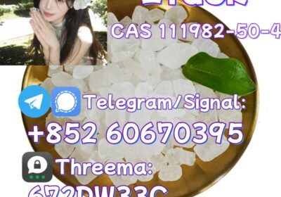 China-Factory-Supply-High-Quality-N-Isopropylbenzylamine-Chemical-CAS-102-97-6