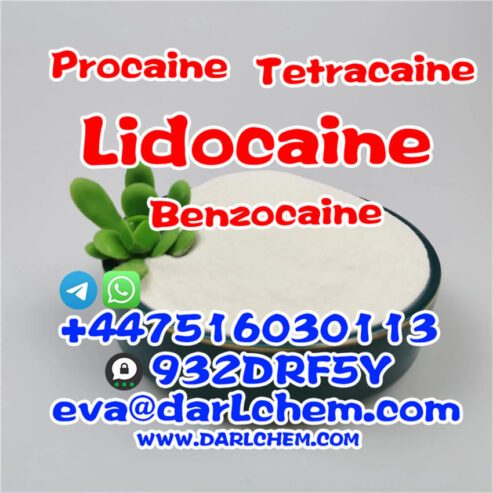 73-78-9 Lidocaine powder