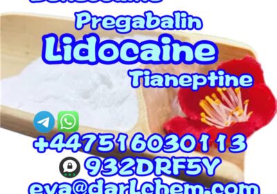 Lidocaine41-1