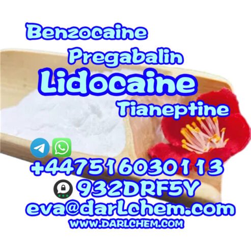 137-58-6 Lidocaine Powder