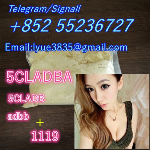 purity 5CLADBA Eutylone 5cl-ad
