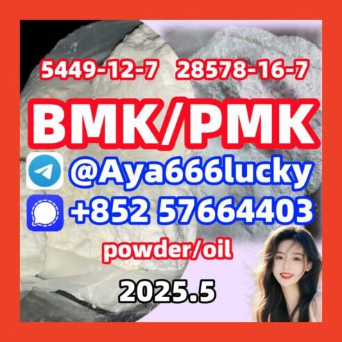 New Bmk PMK powder oil