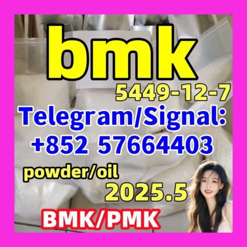 5449-12-7 New Bmk powder oil