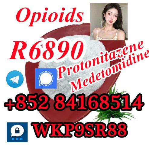 Opioids R6890 Protonitazene