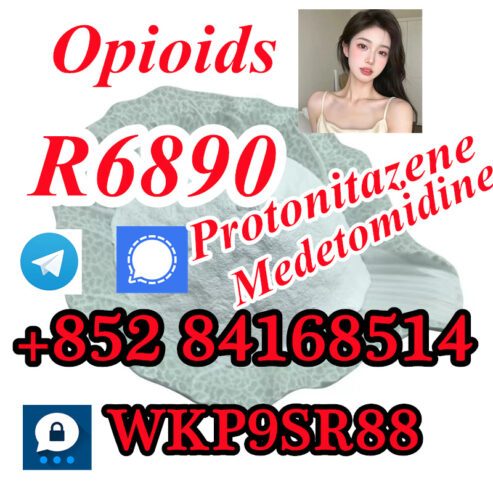 Protonitazene R6890 3222-88-6