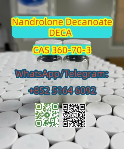 Nandrolone Decanoate 360-70-3
