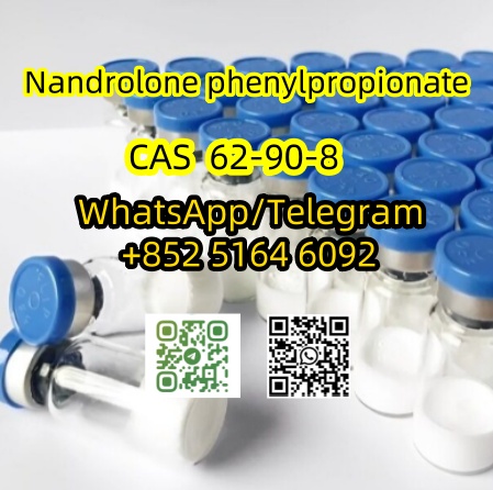 Nandrolone phenylpropionate