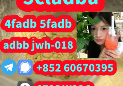 0bd1e2392bc73c9a239a11a5ec8bdeb7
