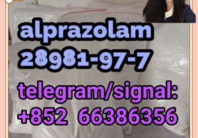 33E145B0F65359017DCCEA98372486B5_副本