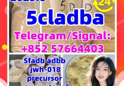 53
