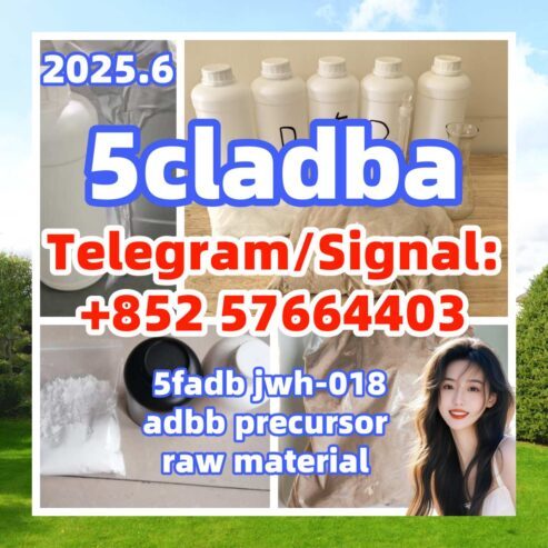 BK4/2B4M 1451-82-7 5cladba eu