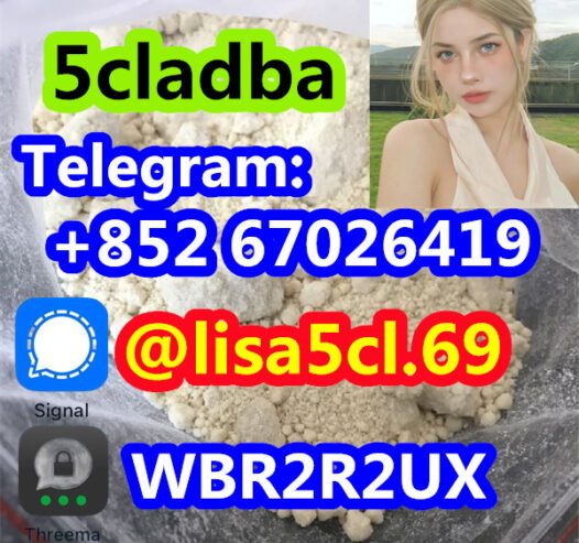 Strongest 5cladba Raw Material