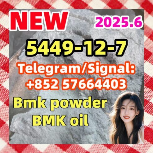 BMK New 5449-12-7 Glycidic Aci