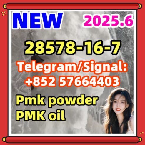 PMK New 28578-16-7 ethyl glyci