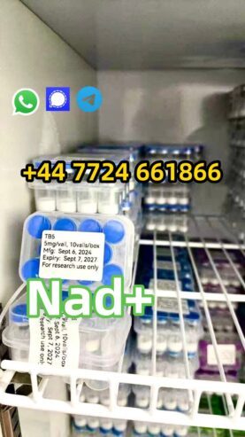 nad+ powder
