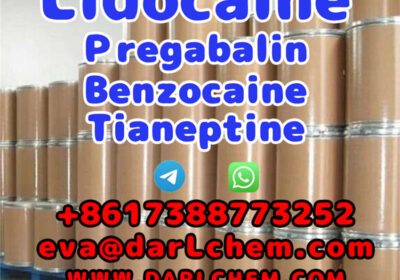 Lidocaine89