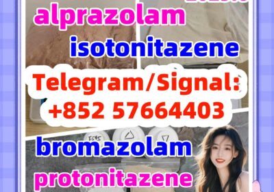ZP4