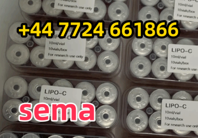 ff7d3c7d54e6a3ef3ec1b3fb0e199ab-1