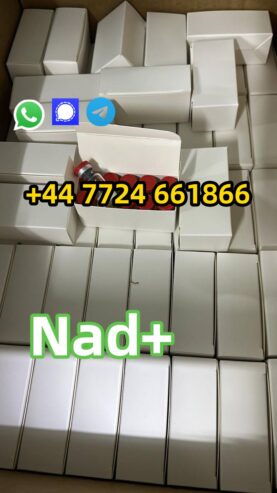 CAS:53-84-9 NAD+ powder