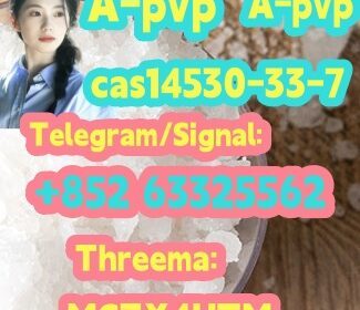 pvp7_副本