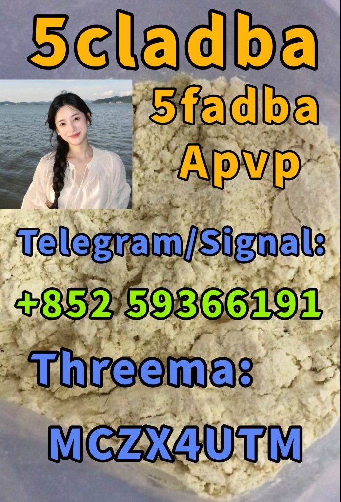 a-pvp cas 14530-33-7 Reliable supplier