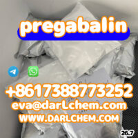 pre101