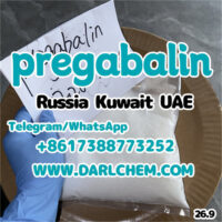 pregabalin-47