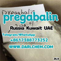 pregabalin-48